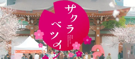 サクラベツイン2026に参加しました！