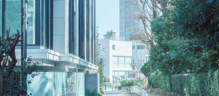 日本で働きたい。台湾D2Cの経験から見えた課題と、今の悩み