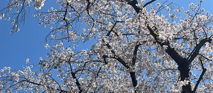 スカウトメールを受け取ってくれた皆様へ！こんにちは、GROW採用担当の八木です！