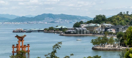 私が広島のスタートアップでCOOを引き受けたお話