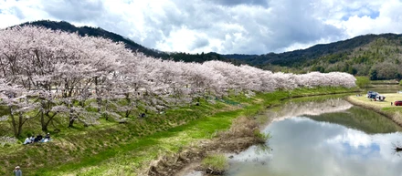 2026年4月。今年度のHITを紹介します。