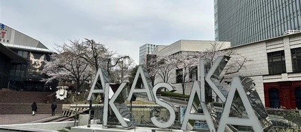 赤坂にもちゃんと春が来ていました。