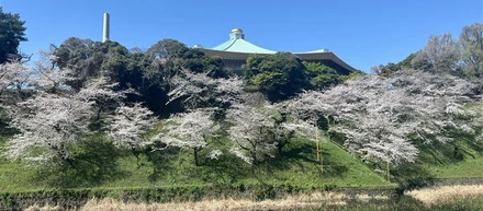 ☆新年度はじまりました☆