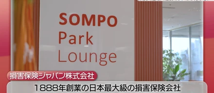 求人票では伝わらなかった、損害保険ジャパン株式会社の代理店営業職のリアル