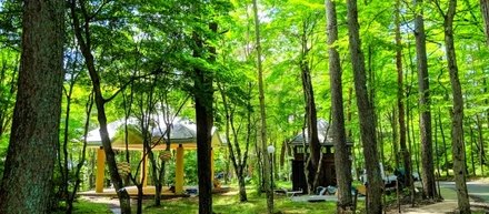 働くならどこ？～軽井沢編～「石垣島」・「箱根」・「軽井沢」リゾート対決！