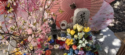 一粒万倍日⛩️