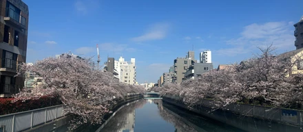 華金がちょっと楽しみになった新卒のリアルな1日｜サマンサ（入社1ヵ月目）の日常