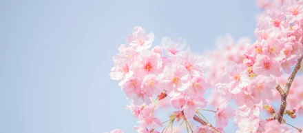 🌸4月　新しい仲間を迎えました　🌸