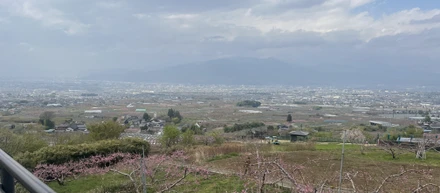 「0→1のビジネス」を体感。山梨で農業インターンしてきた話
