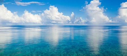 きれいごとを本気でする～Love Our Nature プロジェクトについて～