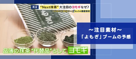 これから来る!？“Next抹茶”は「よもぎ」？｜注目素材