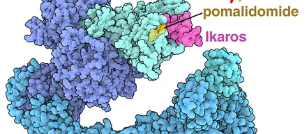 今月の分子 317: PROTACと分子接着剤分解剤（PROTACs and Molecular Glue Degraders）