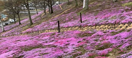ＧＷにも北海道へ