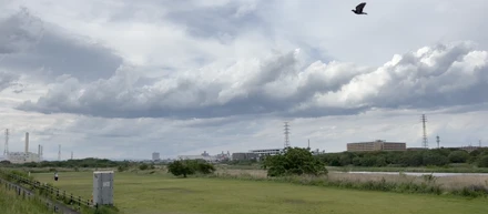 空や雲の見え方を、映像の中にも繋げています