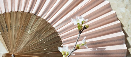 ホテルで役目を終えた桜に、もう一度価値をつくるまで