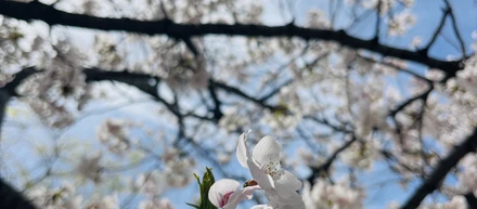 生き残って22年。