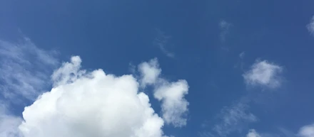 2026卒の採用を振り返ってみて
