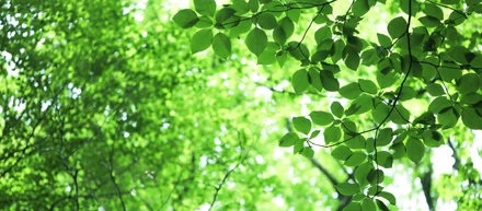 隣の芝生は青い、5月病回避中🎏🍃