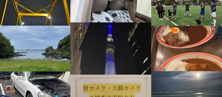 【Proteaの日常】社員8人のGWを聞いてみた！