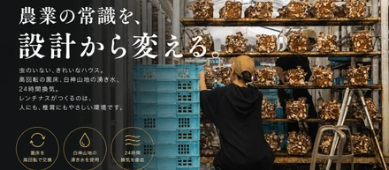 消費者は決して知らない椎茸農家の隠したい◯◯事情。
