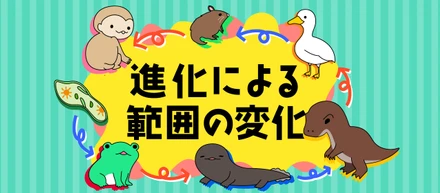 進化による範囲の変化