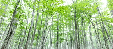 【AI時代の意思決定】巨大テックの“過剰検閲”が経営判断を狂わせる？エグゼクティブが優等生AIに抱く違和感の正体
