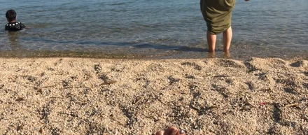 🌊暑いのは嫌なんですけど🐳🪸