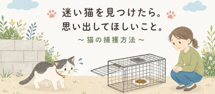 迷い猫を見つけたら。思い出してほしいこと。～猫の捕獲方法～