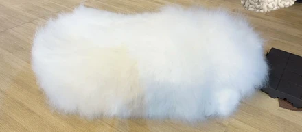 kedama