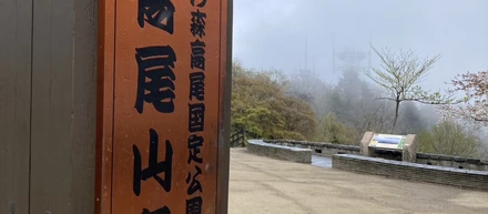 社員blog Vol.96「雨でも楽しむ！桜とリフト満喫の春登山」