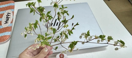 広告・テックから、植物と空間を学ぶまで