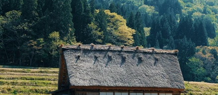 サステナビリティ・ESG・地域活性化への私のバックグラウンドの貢献                                                       How My Background Contributes to Sustainability, ESG, and Regional Revitalization