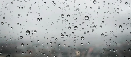 梅雨だか何だか、なんじゃらほい