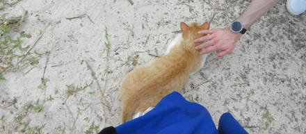 【社員合宿】沖縄に行きました