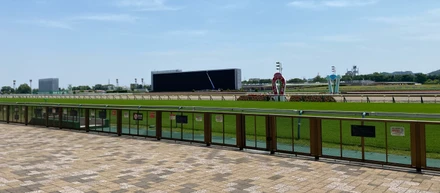 「競馬の面白さを、もっと多くの人へ。」アイデアを形にできる環境で挑戦し続ける