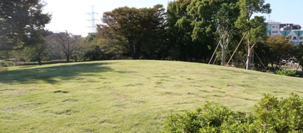 公園から始まった、私のライターとしての原点