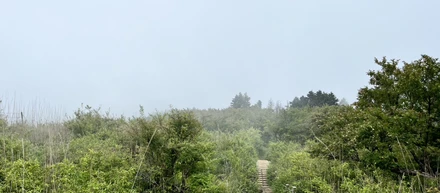 週末は登山家やってます