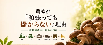 農家が「頑張っても儲からない」のは、"構造"に問題があった