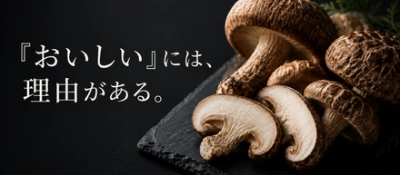 「おいしい」には、理由がある。データが証明した、レンチナスの椎茸が美味しいワケ。