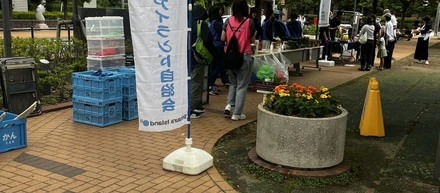 【活動レポート】芝浦アイランドのクリーン活動に参加！地域社会とともに歩むGEMS UNITEDの新たな一歩