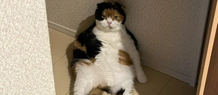 今週もお疲れ様でした。