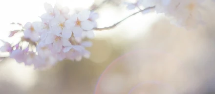 優秀な人が辞める時に起きる5つの現象