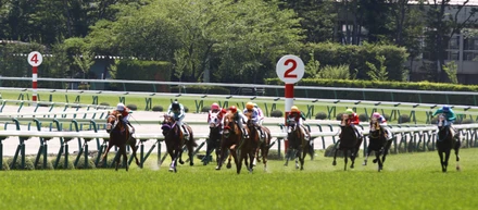 競馬メディア運営スタッフの仕事とは？
