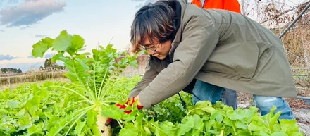 「好き」を「活動」に