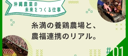 【沖縄行政PM】農業×福祉をつなぐ。地域課題に向き合うお仕事現場に密着！