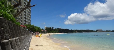 大満足の旅！🌺 2026年の社員旅行は沖縄へ〜！