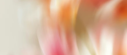 私を表す3つの言葉