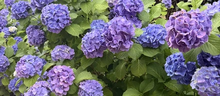 社会人一年目と今のやすまるを比べてみた
