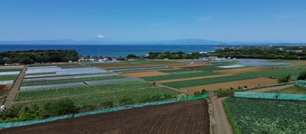 【ガイドスタッフの1日】語学を活かして三浦の自然と働く。