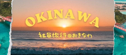 【社員旅行レポ🍍】新卒からベテランまで大満喫！2泊3日の沖縄旅行で深まったチームの絆🍀